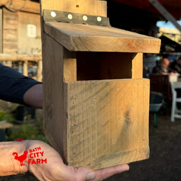 Robin nest box - Coming Soon